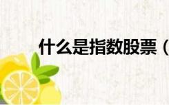 什么是指数股票（什么是指示提单）