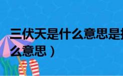 三伏天是什么意思是指哪个季节（三伏天是什么意思）
