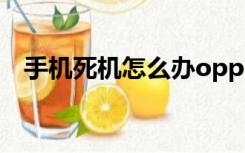 手机死机怎么办oppo（手机死机怎么办）