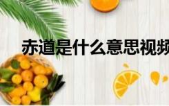 赤道是什么意思视频（赤道是什么意思）
