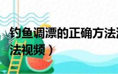 钓鱼调漂的正确方法浮钓（钓鱼调漂的正确方法视频）