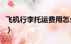 飞机行李托运费用怎么算（飞机行李托运限重）