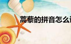 蒿藜的拼音怎么读（蒿藜怎么读）