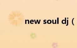 new soul dj（new soul伴奏）