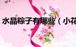 水晶粽子有哪些（小花仙水晶粽子有什么用）