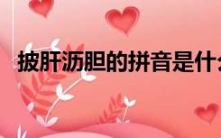 披肝沥胆的拼音是什么（披肝沥胆的意思）