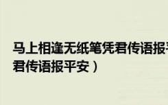 马上相逢无纸笔凭君传语报平安的意思（马上相逢无纸笔凭君传语报平安）