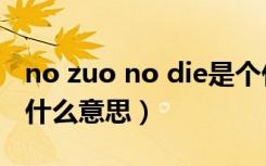 no zuo no die是个什么梗（no zuo no die什么意思）
