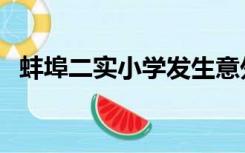 蚌埠二实小学发生意外（蚌埠二实小官网）