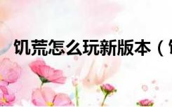 饥荒怎么玩新版本（饥荒怎么玩新手入门）