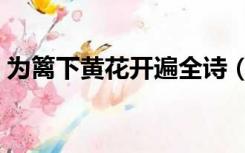 为篱下黄花开遍全诗（为篱下黄花开遍的为）