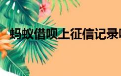蚂蚁借呗上征信记录吗（蚂蚁借呗上征信）