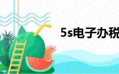 5s电子办税服务厅下载