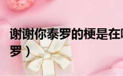 谢谢你泰罗的梗是在哪一集出现的（谢谢你泰罗）