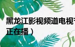 黑龙江影视频道电视节目表（黑龙江影视频道正在播）