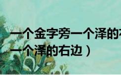 一个金字旁一个泽的右边读什么（一个金字旁一个泽的右边）