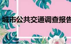 城市公共交通调查报告（城市公共交通论文）