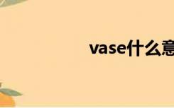 vase什么意思（vase）