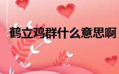 鹤立鸡群什么意思啊（鹤立鸡群什么意思）