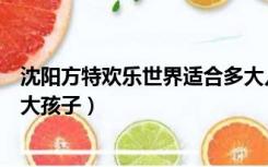 沈阳方特欢乐世界适合多大儿童（沈阳方特欢乐世界适合多大孩子）
