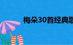 梅朵30首经典歌曲（梅朵简介）