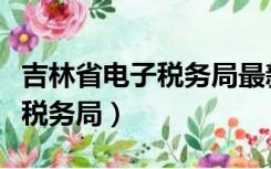 吉林省电子税务局最新登录方式（吉林省电子税务局）