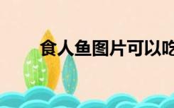 食人鱼图片可以吃吗（食人鱼图片）
