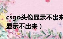 csgo头像显示不出来是什么原因（csgo头像显示不出来）