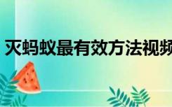 灭蚂蚁最有效方法视频（灭蚂蚁最有效的药）
