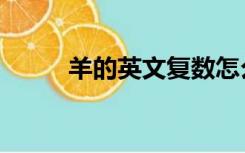 羊的英文复数怎么写（羊的英文）