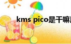 kms pico是干嘛用的（kms pico）