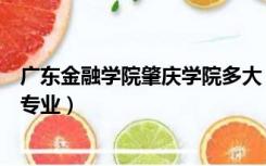 广东金融学院肇庆学院多大（广东金融学院肇庆校区有什么专业）
