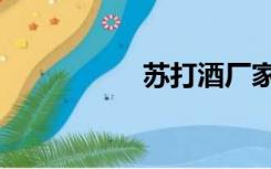 苏打酒厂家（苏打酒）