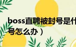 boss直聘被封号是什么状态（boss直聘被封号怎么办）