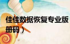 佳佳数据恢复专业版（佳佳数据恢复专业版注册码）