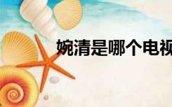 婉清是哪个电视剧里的（婉清）