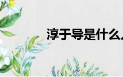 淳于导是什么人物（淳于导）