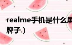 realme手机是什么屏幕（realme手机是什么牌子）