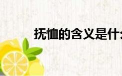 抚恤的含义是什么（抚恤的拼音）