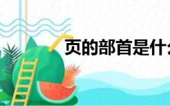 页的部首是什么（页的部首）