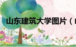 山东建筑大学图片（山东建筑大学分数线）