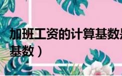 加班工资的计算基数是多少（加班工资的计算基数）