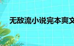 无敌流小说完本爽文（无敌流小说完本）