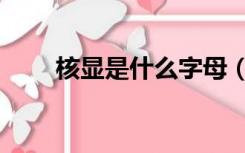核显是什么字母（核显是什么意思）