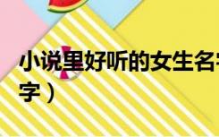 小说里好听的女生名字（小说里好听的女生名字）