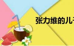 张力维的儿子（张力维）