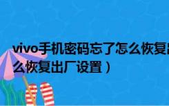 vivo手机密码忘了怎么恢复出厂设置（vivo手机密码忘了怎么恢复出厂设置）