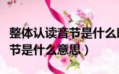 整体认读音节是什么时候规定的（整体认读音节是什么意思）