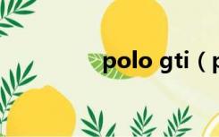 polo gti（polo衫介绍）