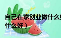 自己在家创业做什么好一点（自己在家创业做什么好）